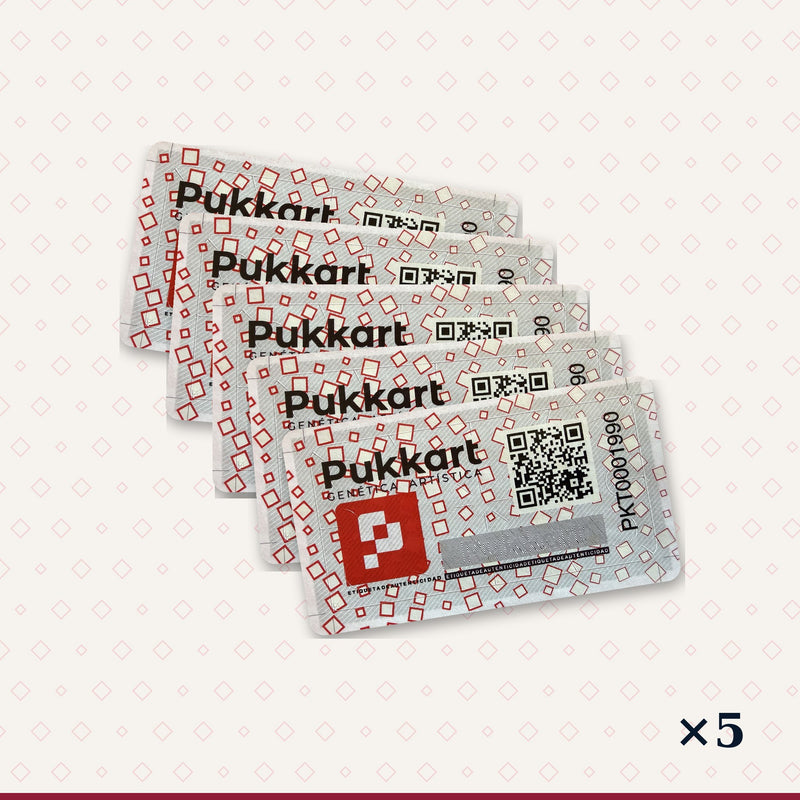 Pack Básico · 5 identidades de obra